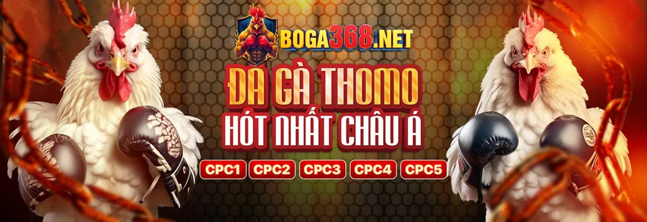 Hình ảnh Chính sách Quyền riêng tư của mb6